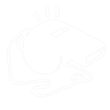 feuille de match.png